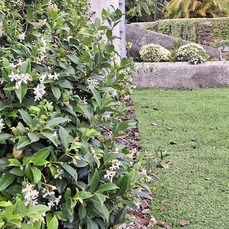 Moradia Stephanie Funchal  Exterior foto